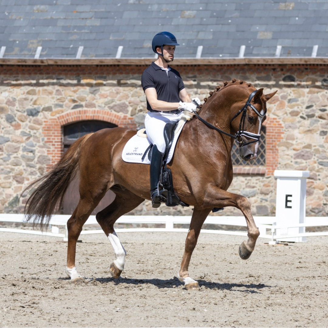 In the arena at Dressage Together