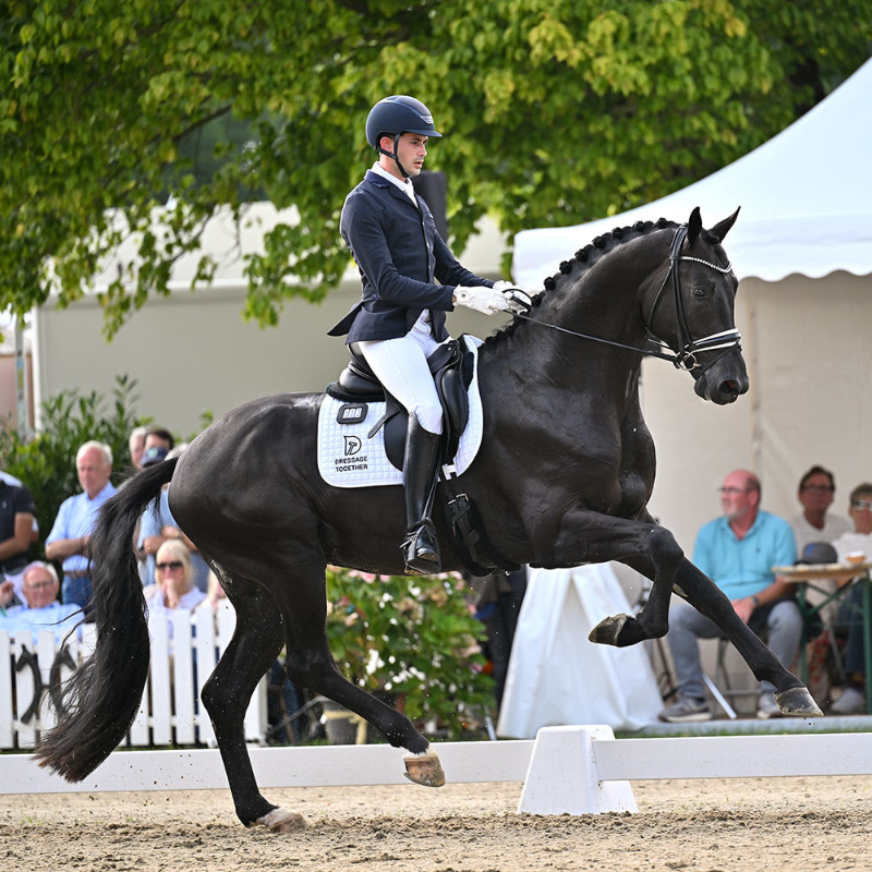A lesson at Dressage Together