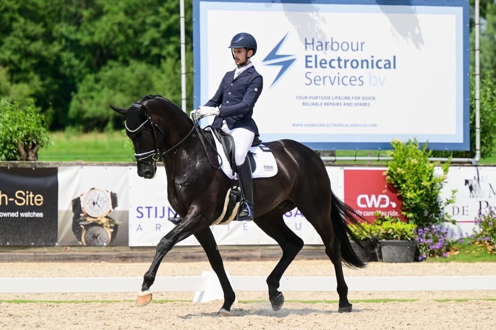Buying a dressage horse