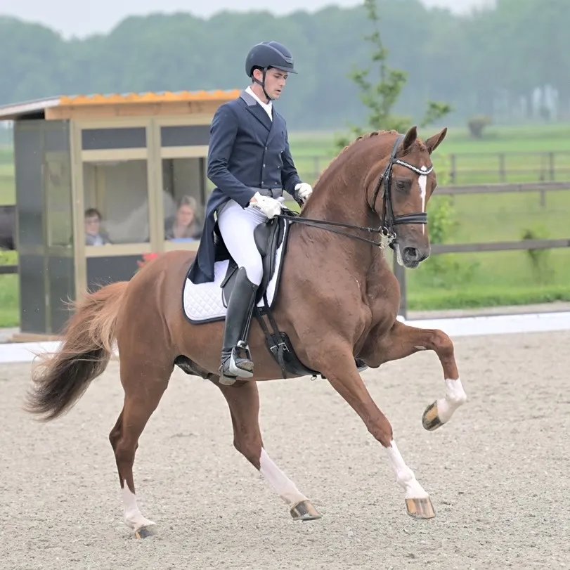 Training at Dressage Together