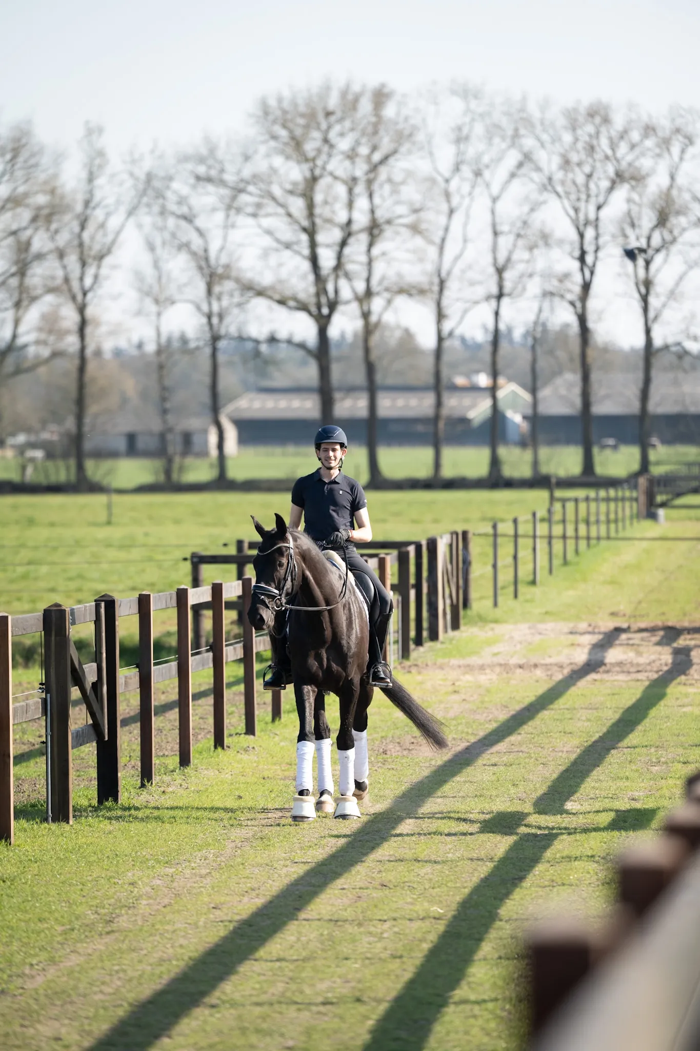 Dressage Together