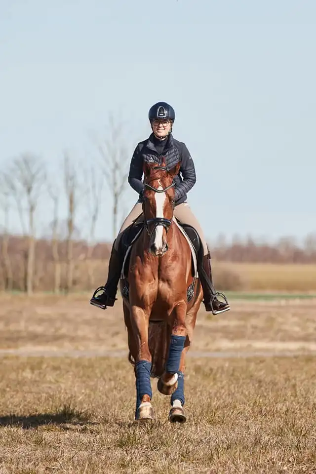 Dressage Together
